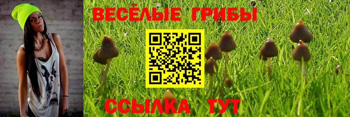 Егорьевск  Галлюциногенные грибы мицелий  Вход с VPN  Галлюциногенные грибы ЛСД 
