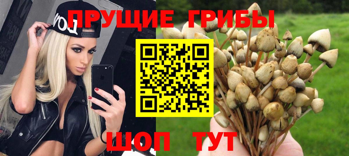 Галлюциногенные грибы Magic Shrooms Егорьевск
